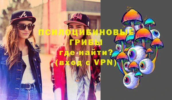 дживик Архангельск