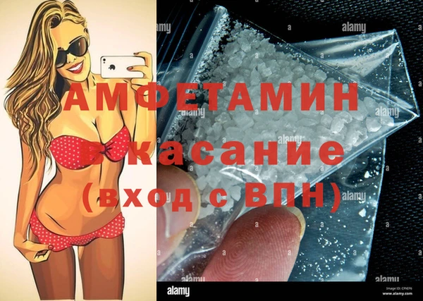 шишки Чита