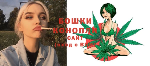 шишки Чита