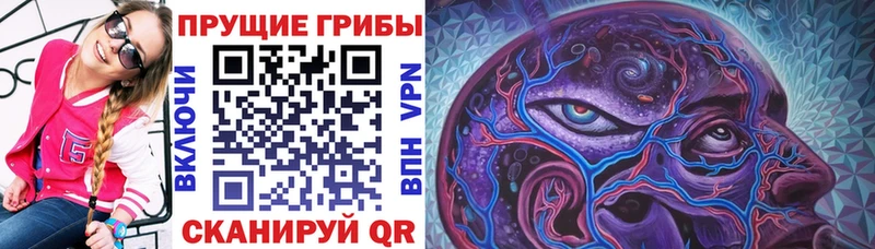 Псилоцибиновые грибы Magic Shrooms  shop телеграм  Чаплыгин 